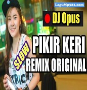 Dj Opus