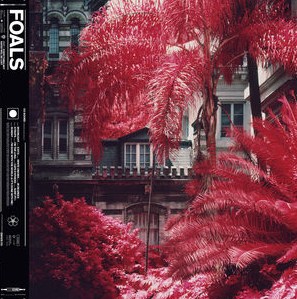 Foals