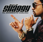 It Wasn't Me (feat. Ricardo Ducent) -  Shaggy