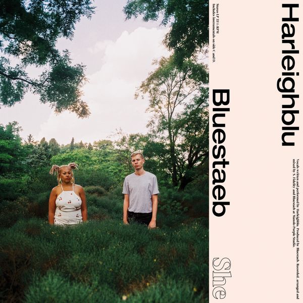Harleighblu, Bluestaeb - Higher Than a Kite (Interlude)