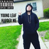 Harder Me Young Leaf