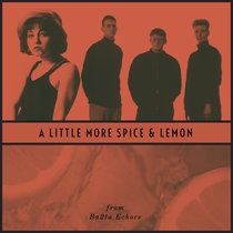 A Little More Spice & Lemon Ba2ta Echoes