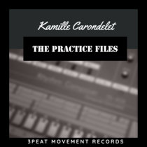 The Practice Files Kamille Carondelet