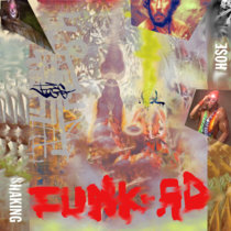 Funk A.D Funk over d'Oz