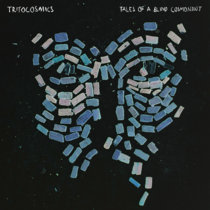 Tales of a Blind Cosmonaut Tritocosmics