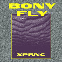 XPRNC Bony Fly