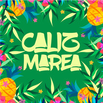 Caliz Marea Caliz Marea