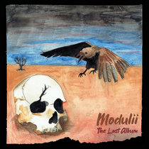 The Last Album Modulii