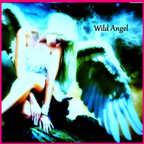 WILD ANGEL ALBUM Wild Angel