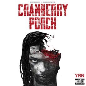 YRN Murk Cranberry Porch