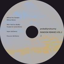 Random Remixes Vol.2 :) probablynotsunny