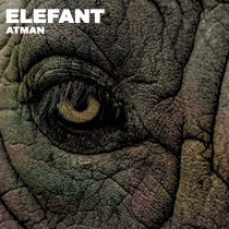 Elefant Atman