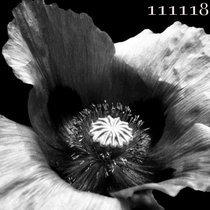 111118 Ambient Re-Generation