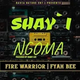 Shayi Ngoma Fire Warrior