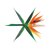 THE WAR - The 4th Album EXO